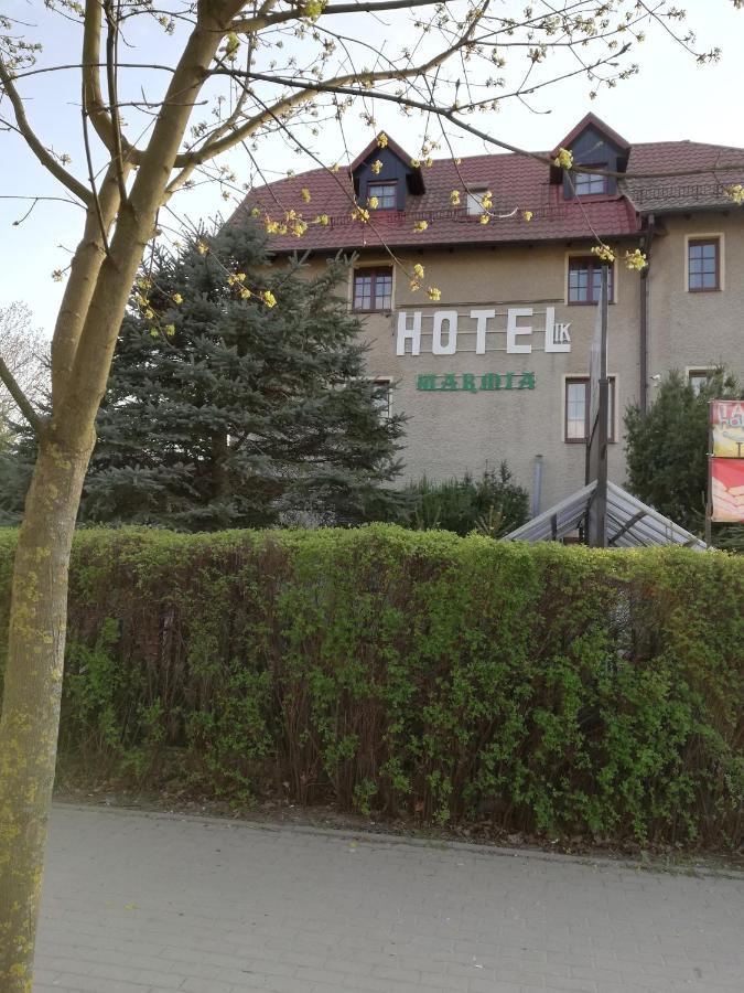 לידזבארק ורמינסקי Hotelik Warmia -Pensjonat, Hostel מראה חיצוני תמונה