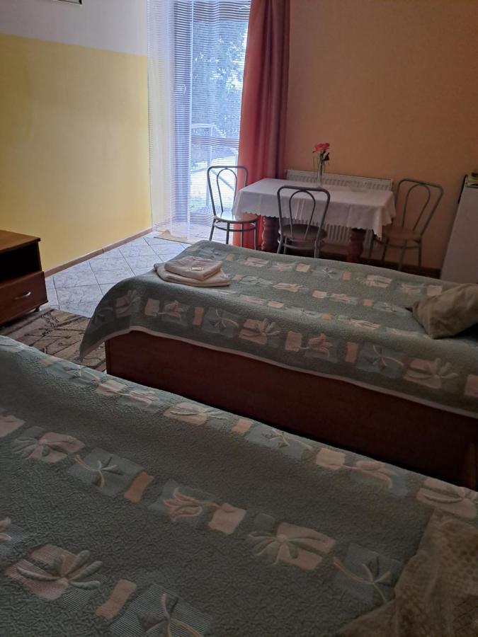 לידזבארק ורמינסקי Hotelik Warmia -Pensjonat, Hostel מראה חיצוני תמונה